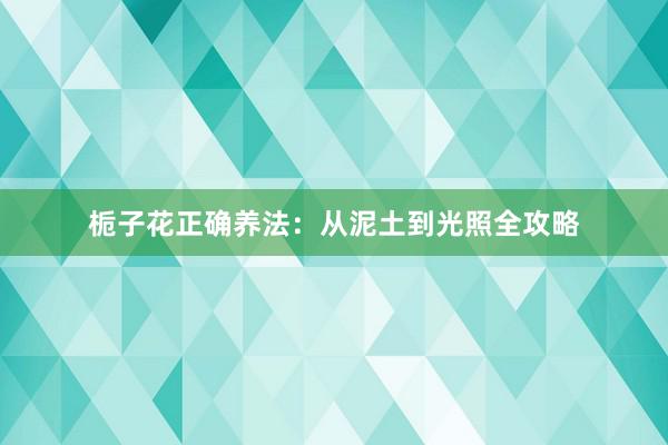 栀子花正确养法:从泥土到光照全攻略
